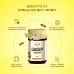 stingless bee honey 500 gm cheruthen ചെറുതേൻ | small bee honey